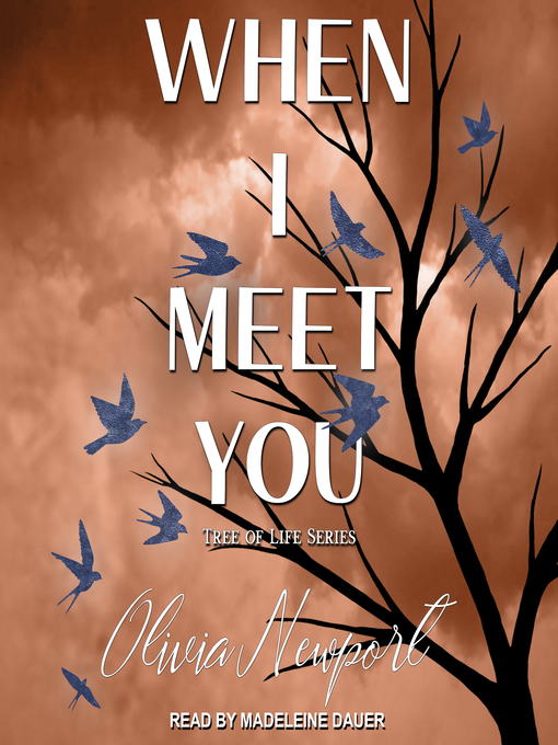 Cover image for When I Meet You